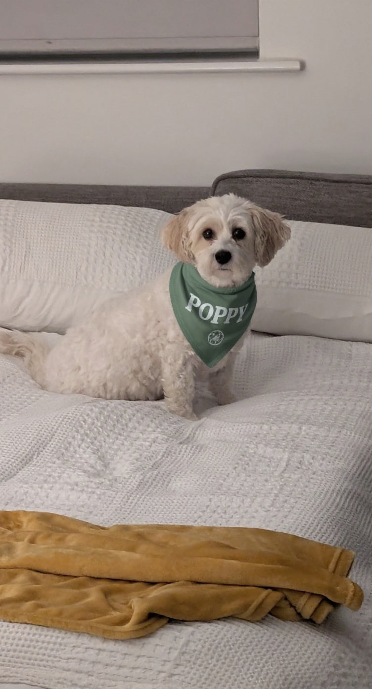 Poppy Approved Dog Bandana