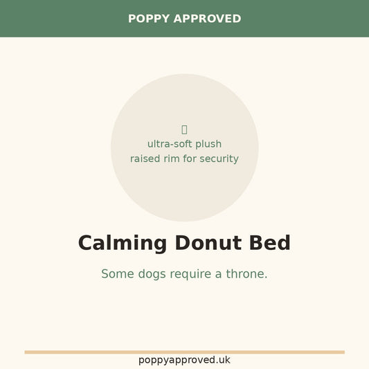 Poppy Approved Calming Donut Bed — The Official Sleep Station of Every Dramatic Dog